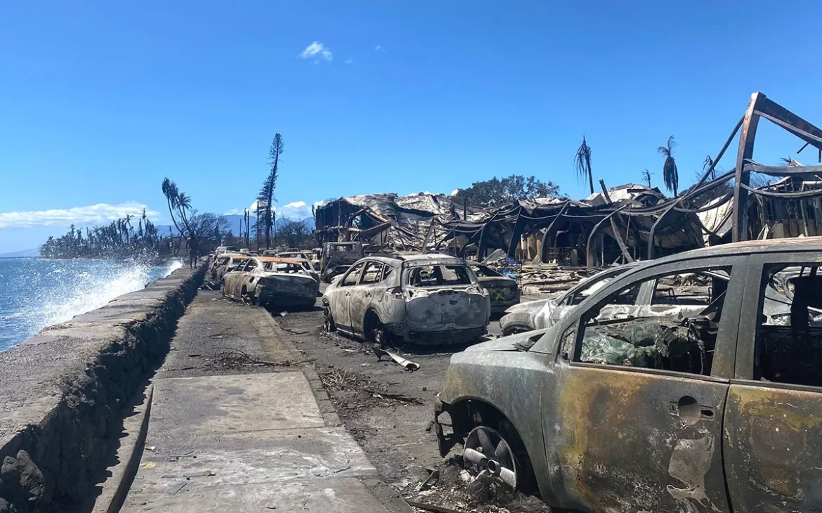Hawaii eleva a 96 los muertos por los incendios forestales y aún se buscan a cientos de desaparecidos